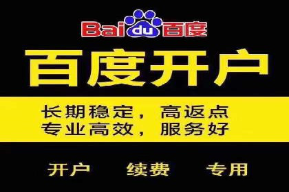信息流广告推广成功案例深度剖析